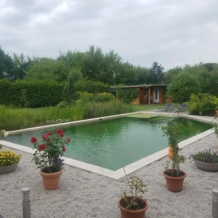 Ferienhaus Zum Imker 벨튼 외부 사진