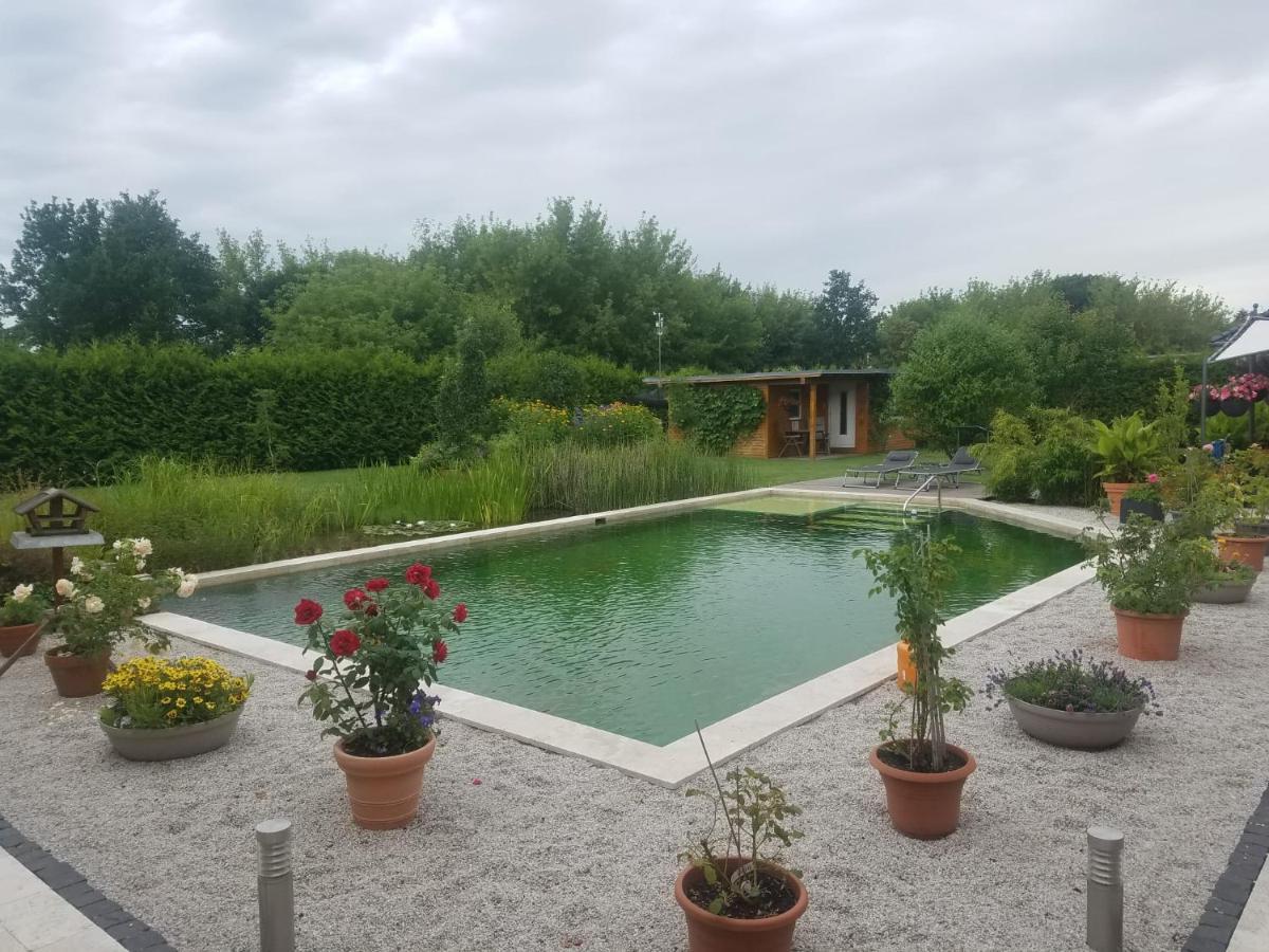 Ferienhaus Zum Imker 벨튼 외부 사진