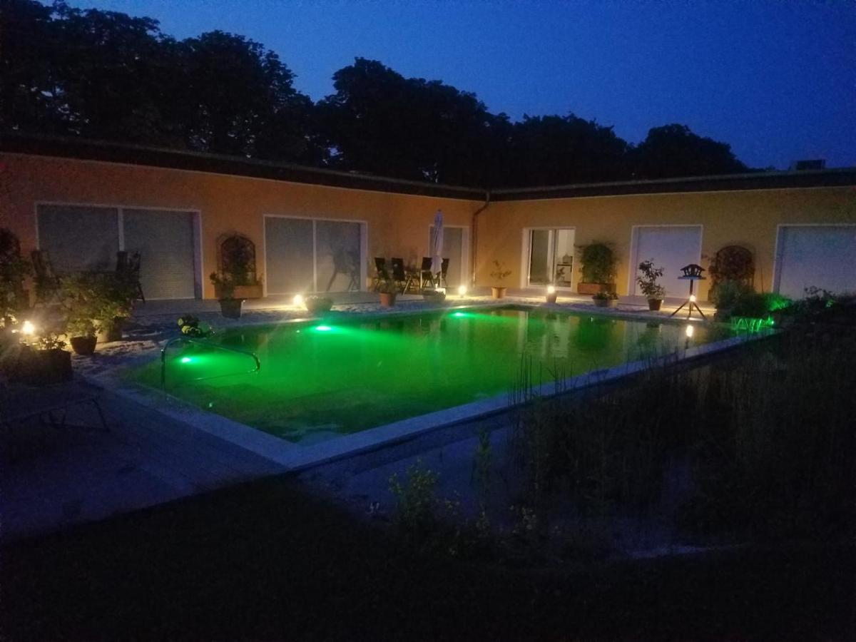 Ferienhaus Zum Imker 벨튼 외부 사진
